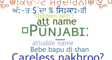 Παρατσούκλι - Punjabi