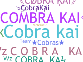 Παρατσούκλι - cobrakai