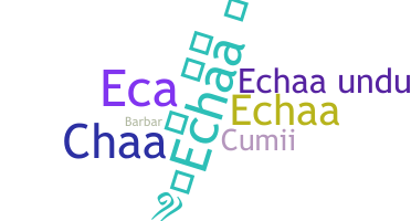 Παρατσούκλι - echaa