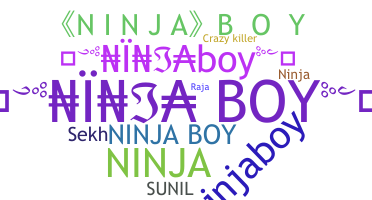 Παρατσούκλι - NinjaBoy