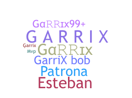 Παρατσούκλι - Garrix