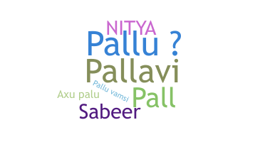 Παρατσούκλι - Pallu