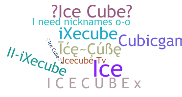 Παρατσούκλι - icecube
