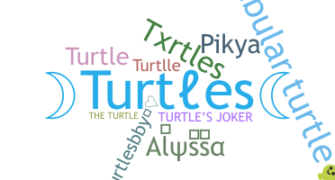 Παρατσούκλι - Turtles