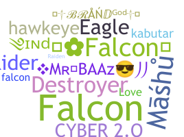 Παρατσούκλι - Falcons